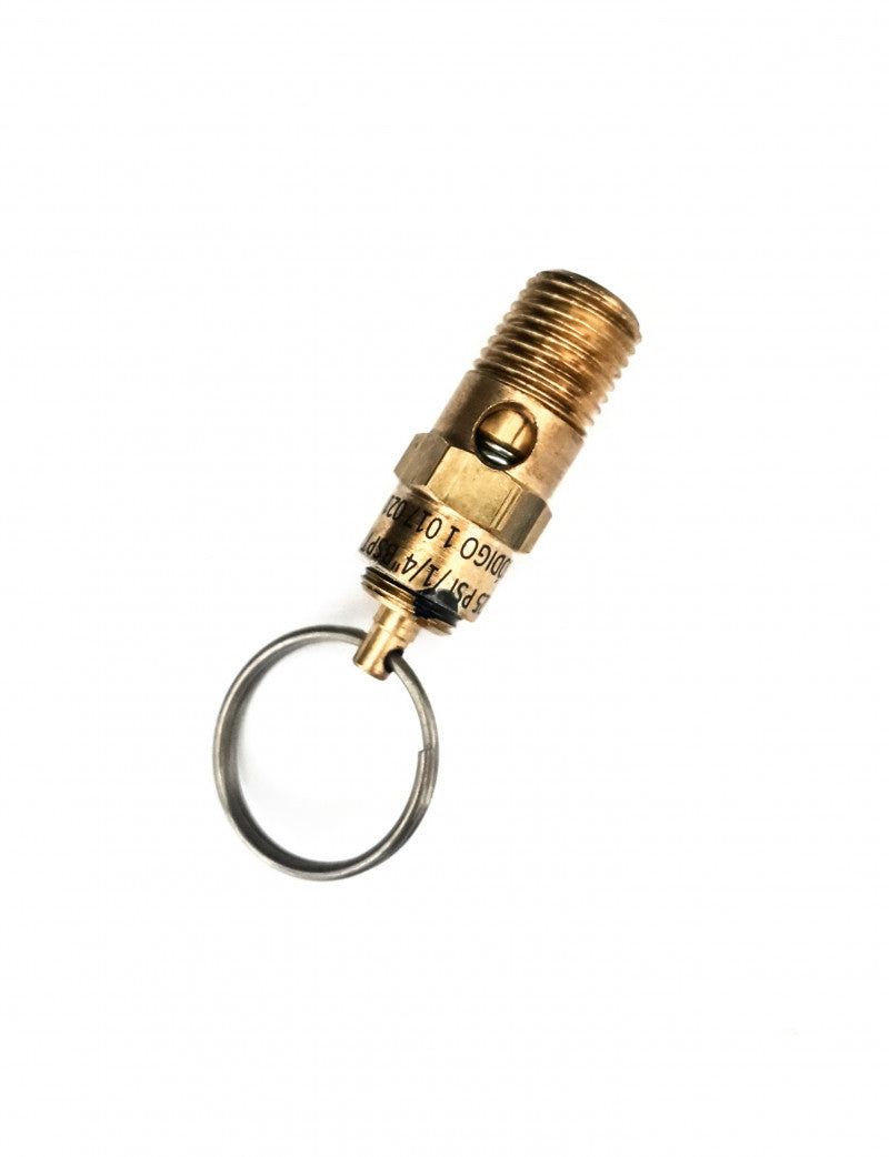 Válvula de segurança rosca 1/4" baixa pressão 125 psi para compressores de ar (A214)