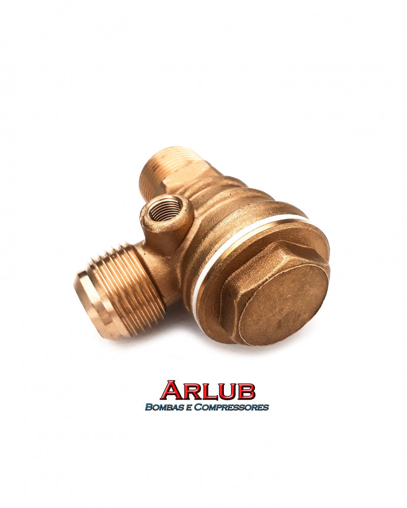 Válvula de retenção compressor Chiaperini 20 MPI / Top 20 - 30 (A665)