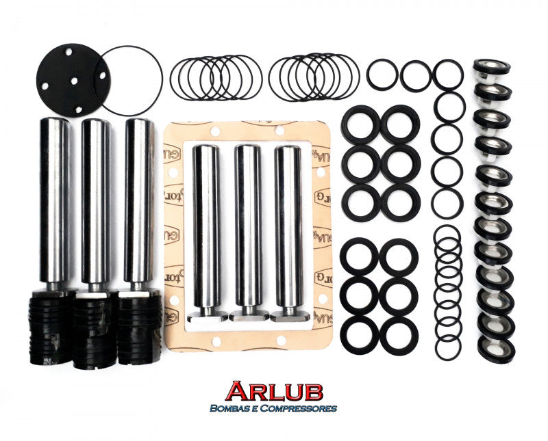 Kit vedação com 06 pistões para lavadora de alta pressão Wayne lu Somar 6402 (K063)